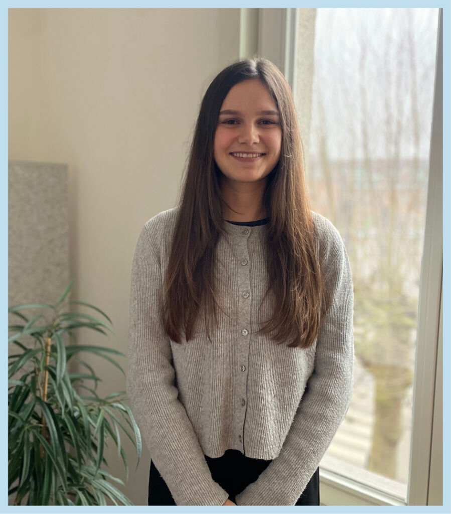 Didem website