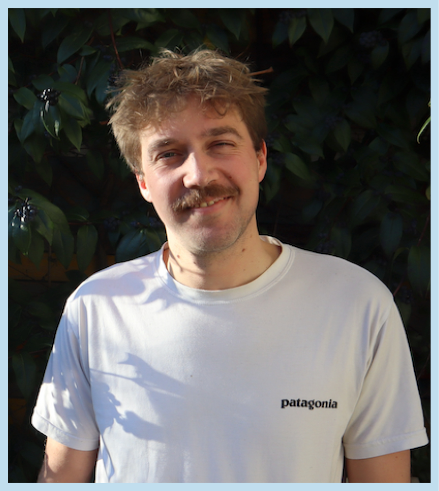 Ward website